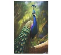 Paon Puzzles Adulte 1000 Pieces Cadeau Famille Puzzle Classique 3D EnfantsJouet en Bois Cadeau Unique （78×53cm）