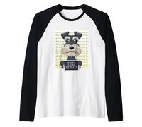 Papa Schnauzer Nain I Amoureux des Chiens I Schnauzer Nain Manche Raglan