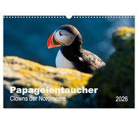 PAPAGEIENTAUCHER - Clowns der Nordmeere (Wandkalender 2026 DIN A3 quer), CALVENDO Monatskalender: Rot-bunter Schnabel, watschelnder Gang, ... antreffen und sie erobern das Herz im Fluge.
