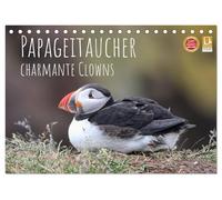 Papageitaucher - charmante Clowns (Tischkalender 2027 DIN A5 quer), CALVENDO Monatskalender: Klippenleben im nordischen Licht