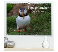 Papageitaucher Clowns der Meere (hochwertiger Premium Wandkalender 2026 DIN A2 quer), Kunstdruck in Hochglanz: Papageitaucher Clowns der Meere
