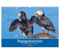 Papageitaucher - Clowns der nordischen Vogelwelt (Wandkalender 2026 DIN A2 quer), CALVENDO Monatskalender: Papageitaucher sind die Lieblinge vieler Nordlandtouristen