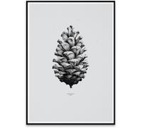 Paper Collective 1:1 Pine Cone impression d'art - gris