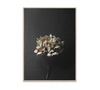 Paper Collective Impression d'art Still Life - 70 x 100 cm