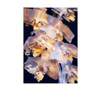 Paper Collective Poster Flora Aquatica 01 30x40 cm