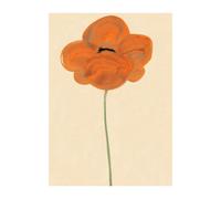 Paper Collective Poster Orange Vallmo 30x40 cm