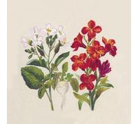 PAPER DESIGN-Lot de 25 serviettes 2 plis Botanical coloris multicolore en papier recyclé - 33 x 33 cm