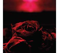 Paper Kites - Roses