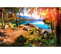 Paper-Media Papier peint photo en non-tissé avec colle