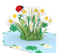 papercrush® Carte pop-up Coccinelle et marguerites - Carte de félicitations 3D (carte d'anniversaire, bonne chance et succès, carte pour examen, bon rétablissement, remerciement, départ collègue)