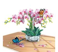 papercrush® Carte pop-up orchidée avec papillon - Carte d'anniversaire 3D élégante avec fleurs et papillon pour femme - Carte de vœux spéciale pour anniversaire et anniversaire de mariage Carte de