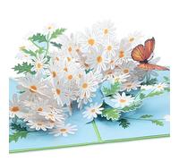 papercrush® Carte pop up Pâquerettes et Papillon - Carte anniversaire 3D pour femmes (maman, petite amie, mamie), Carte bonne chance, Carte de prompt rétablissement, Carte merci ou retraite femme