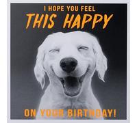 Paperlink Carte d'anniversaire amusante pour homme/garçon - Carte humoristique générale pour homme - Hope You Feel This Happy - Chien labrador souriant - Respectueux de l'environnement et recyclable -