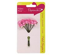 Papermania Scrapbooking Embellishment, Rose Rose Pâle