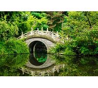 papermoon 18041 Papier peint Vert