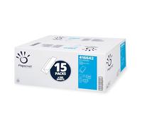 Papernet - Serviette Pliée en V 416642, 3 990 Services Jetables en Papier, Hautement Résistante, 2 Plis, Dimensions Ouvertes 23x24cm