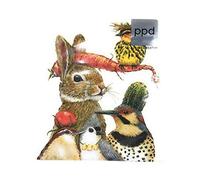 Paperproducts Design 1332588 Serviettes en papier, multicolore