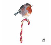 Paperproducts Design Candy Cane Robin Lot de 20 serviettes 3 plis 12,7 cm Multicolore