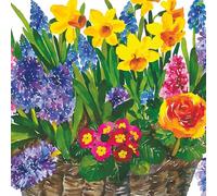 Paperproducts Design Spring Basket Lot de 20 serviettes à boisson 3 plis, 12,7 cm, multicolore