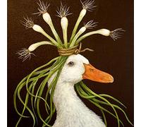 Paperproducts Design Vicki Sawyer Miranda Lot de 20 serviettes de table jetables en papier pour boissons décoratives pour le déjeuner, le dîner, les anniversaires, les fêtes, les célébrations