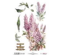 Papers For You - Thermo Transfer Textile A4 20 x 30 cm - 1 feuille - Transfer pour tissu, Scrap, papier de riz et travaux manuels - Application avec fer ou presse (Lilacs)