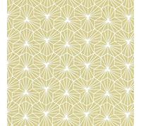 Papertree 50*70 100g Alienor Wasabi/ Blanc - Lot De 10 Feuilles