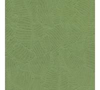 Papertree 50*70 100g Amazonia Tilleul - Lot De 10 Feuilles