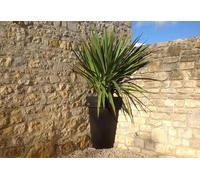 PAPI Pot de fleurs angulaire en polyéthylène haute densité - 40 x 40 x 82 cm - POT-1/4-800