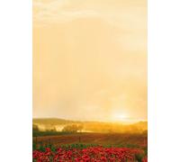 Papier à lettre "Automne Doré" 20 feuilles de format A4 100 g/m² de haute qualité pour Rlaser/encre/copie/main