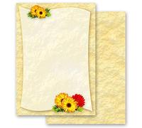 Papier à motif Fleurs & Pétales GERBERA 20 feuilles DIN A4 - Paper-Media