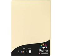 Papier - A4 - Pollen - Chamois - 120g - 50 feuilles - Clairefontaine G