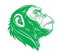 Papier adhésif pour stickers muraux L'Ombre du Singe 72x72.7cm Décoration de magasin Vert