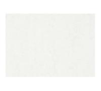 Papier aquarelle de qualité supérieure sans acide - surface rugueuse - idéale pour artistes et ateliers artistiques. réf 22412