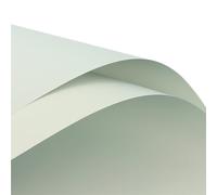 Papier cadeau 20PCS Flower Wrapping Packing Paper Bouquet of Solid Color Floral Package DIY Florist Materials Papier cadeau anniversaire(30)