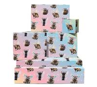 Papier cadeau féerique pour femme - 6 feuilles de papier cadeau avec étiquettes - Ratons laveurs féeriques - Animaux - Pastel - Livré avec autocollants - Par Central 23