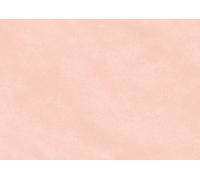 Papier cadeau pêche, uni, 0,70 x 3 m, papier kraft 65 g/m², côtelé, rouleau