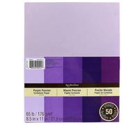 Papier cartonn Souvenirs 8 1/2"""" X 11"""" Passion pourpre