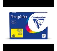Papier Clairefontaine 1977PC format A4 80g/m² 500 feuilles certifié FSC pour création artistique