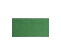 papier crêpe 50 x 250 cm 28 grammes 10 pièces vert