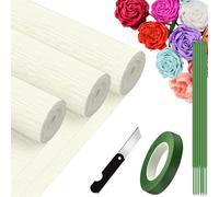 Papier Crépon, 25 x 245 cm 3 Rouleau Papier Crépon avec 15 brindilles vertes, un couteau de bricolage, un rouleau de ruban adhésif de bricolage vert (Blanc)