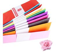 Papier Crépon Multicolore 10 Couleurs - 10 Rouleaux 50x100 cm pour Décorations Fête, Anniversaire, Mariage - Créations DIY (Fleurs, Guirlandes)