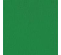Papier crépon Vert 2,50 m x 0,50 m Vert G