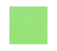 Clairefontaine Papier crépon Vert pistache 2,50 m x 0,50 m