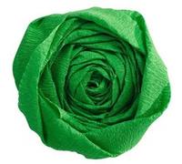 Papier Crépon - Vert pré - 2,5 x 0,5 m NA G