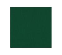 Papier crépon Vert sapin 2,50 m x 0,50 m