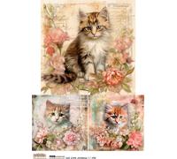 Papier de riz A4 - Scraplove - Cat Junk Journal 1 chats en fleurs