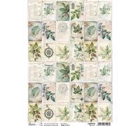Papier de riz découpage papier de bricolage Ciao Bella pour découpage A4 - Cabinet of Botanical Blätter