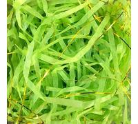 Papier de soie déchiqueté pour remplir les boîtes- Papier de soie déchiqueté froissé métallique multicolore 50g/100g, paquet de 2/4(Grass Green Golden,50g*2Pack)