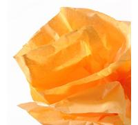 Papier De Soie - Orange