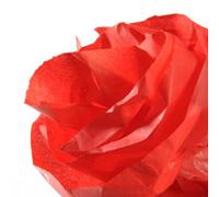 Papier De Soie - Rouge Vif